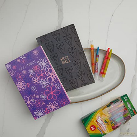 International Childrens Bible [KSIĄŻKA]