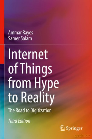 Internet Of Things From Hype To Reality - Ammar Rayes [KSIĄŻKA]