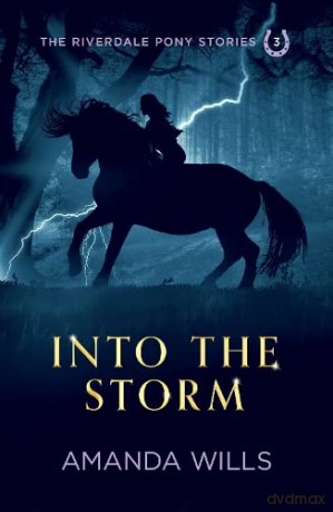 Into The Storm - Amanda Wills [KSIĄŻKA]
