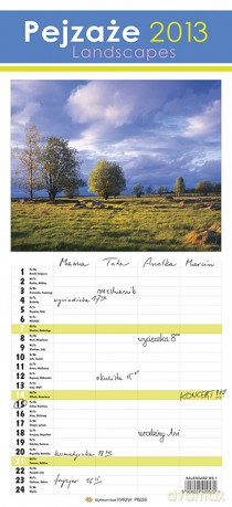 2013 Kalendarz Ws 1 Pejzaże Rodzinny Wieloplanszowy [KSIĄŻKA]