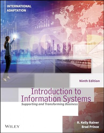 Introduction To Information Systems [KSIĄŻKA]