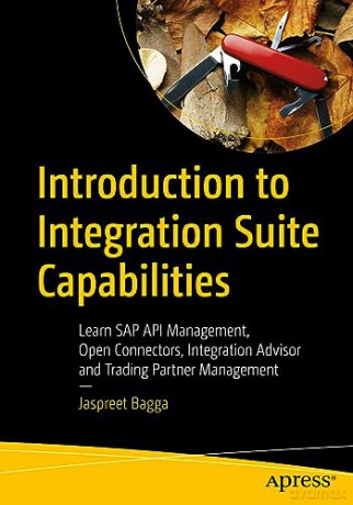 Introduction To Integration Suite Capabi - Jaspreet Bagga [KSIĄŻKA]