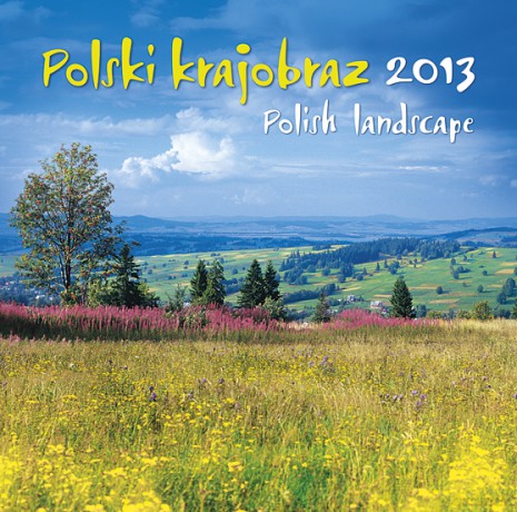 2013 Kalendarz Wz 2 Polski Krajobraz Wieloplanszowy [KSIĄŻKA]