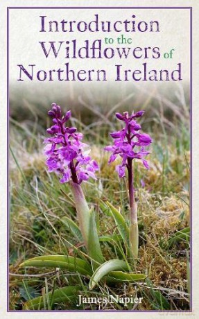 Introduction To The Wildflowers Of North - James Napier [KSIĄŻKA]