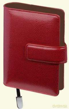 2013 Organizer Orp 05 Tbb Mały11x14.5 Cm [KSIĄŻKA]