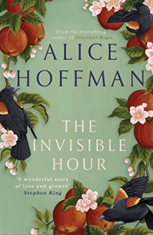 Invisible Hour - Alice Hoffman [KSIĄŻKA]
