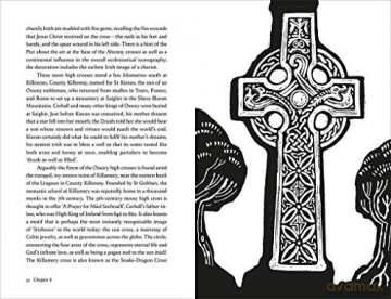 Irelands Forgotten Past - Turtle Bunbury [KSIĄŻKA]