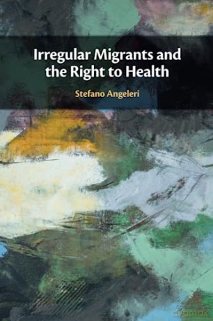 Irregular Migrants And The Right To Hea - Angeleri Stefano [KSIĄŻKA]