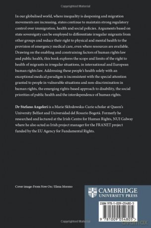 Irregular Migrants And The Right To Hea - Angeleri Stefano [KSIĄŻKA]