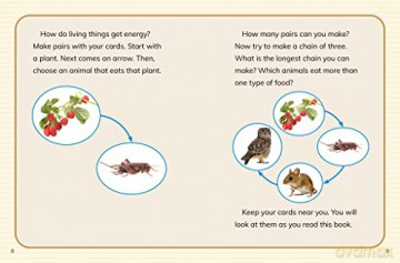 Is It A Food Web Or A Food Chain - Emily Sohn [KSIĄŻKA]
