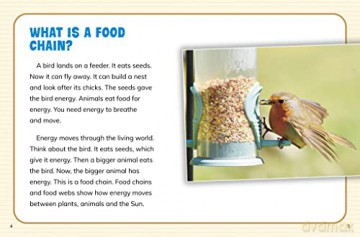 Is It A Food Web Or A Food Chain - Emily Sohn [KSIĄŻKA]