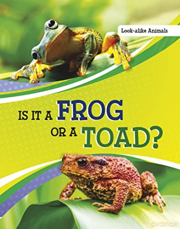 Is It A Frog Or A Toad - Susan B. Katz [KSIĄŻKA]