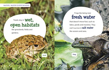 Is It A Frog Or A Toad - Susan B. Katz [KSIĄŻKA]