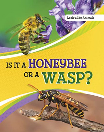 Is It A Honeybee Or A Wasp - Susan Katz [KSIĄŻKA]