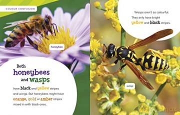 Is It A Honeybee Or A Wasp - Susan Katz [KSIĄŻKA]