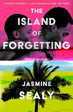 Island Of Forgetting - Jasmine Sealy [KSIĄŻKA]
