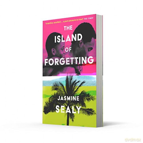Island Of Forgetting - Jasmine Sealy [KSIĄŻKA]
