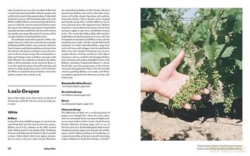 Italian Wine - Shelley Lindgren [KSIĄŻKA]