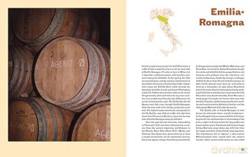 Italian Wine - Shelley Lindgren [KSIĄŻKA]