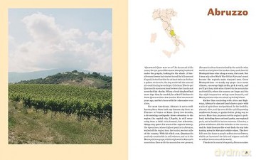 Italian Wine - Shelley Lindgren [KSIĄŻKA]