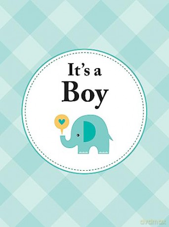 Its A Boy [KSIĄŻKA]
