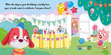 Its My Birthday [KSIĄŻKA]