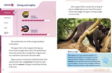 Jaguar Vs Crocodile - Lisa Simons [KSIĄŻKA]