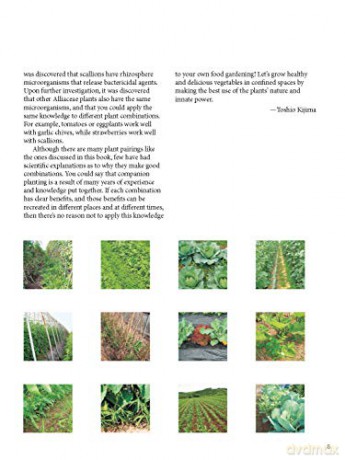 Japanese Style Companion Planting - Toshio Kijima [KSIĄŻKA]