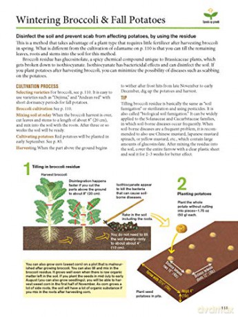 Japanese Style Companion Planting - Toshio Kijima [KSIĄŻKA]