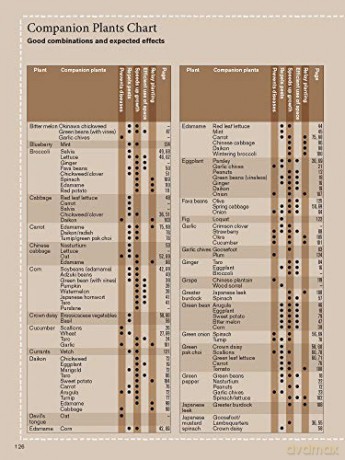 Japanese Style Companion Planting - Toshio Kijima [KSIĄŻKA]