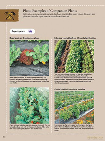 Japanese Style Companion Planting - Toshio Kijima [KSIĄŻKA]