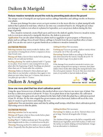 Japanese Style Companion Planting - Toshio Kijima [KSIĄŻKA]