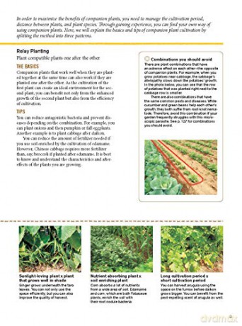 Japanese Style Companion Planting - Toshio Kijima [KSIĄŻKA]