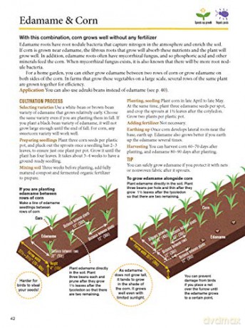 Japanese Style Companion Planting - Toshio Kijima [KSIĄŻKA]