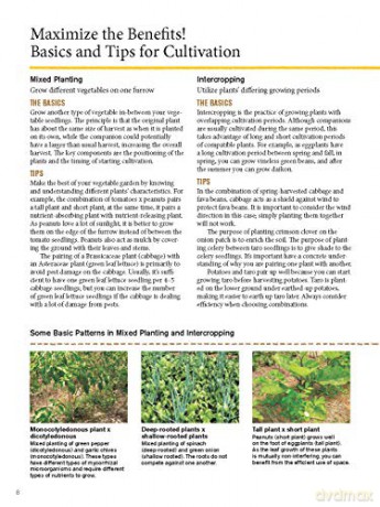 Japanese Style Companion Planting - Toshio Kijima [KSIĄŻKA]