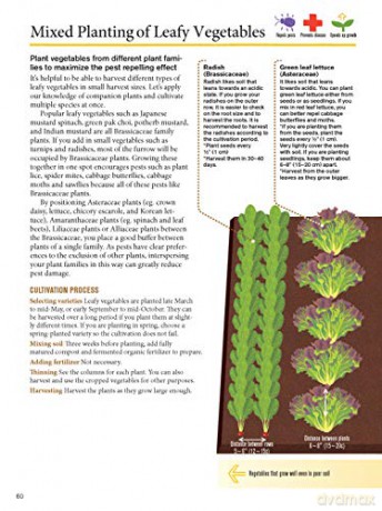 Japanese Style Companion Planting - Toshio Kijima [KSIĄŻKA]