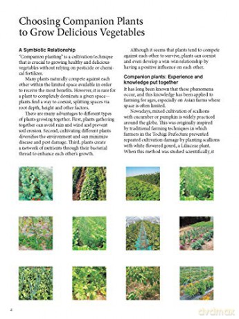 Japanese Style Companion Planting - Toshio Kijima [KSIĄŻKA]