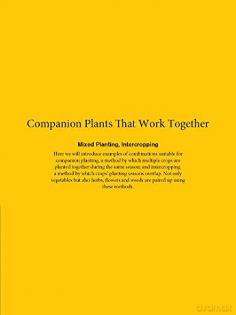 Japanese Style Companion Planting - Toshio Kijima [KSIĄŻKA]