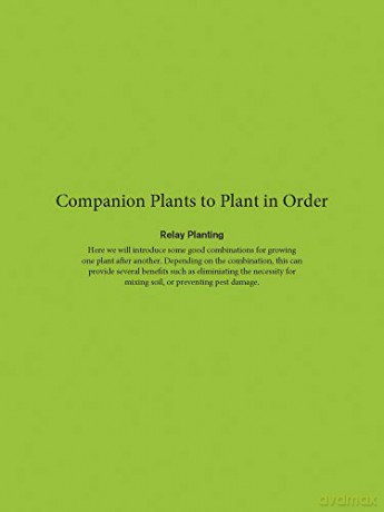 Japanese Style Companion Planting - Toshio Kijima [KSIĄŻKA]