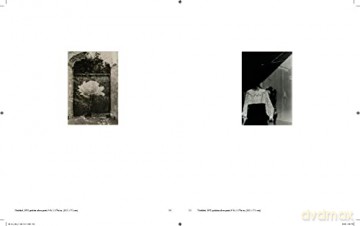 Jay Defeo Photographic Work Hb - Levy Als De Defeo [KSIĄŻKA]