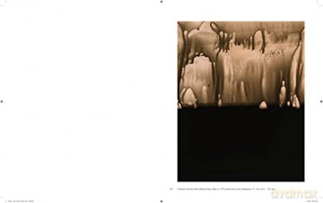 Jay Defeo Photographic Work Hb - Levy Als De Defeo [KSIĄŻKA]