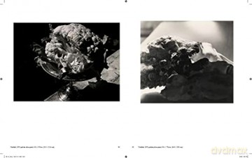 Jay Defeo Photographic Work Hb - Levy Als De Defeo [KSIĄŻKA]