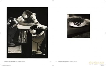 Jay Defeo Photographic Work Hb - Levy Als De Defeo [KSIĄŻKA]