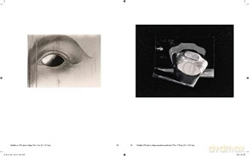 Jay Defeo Photographic Work Hb - Levy Als De Defeo [KSIĄŻKA]
