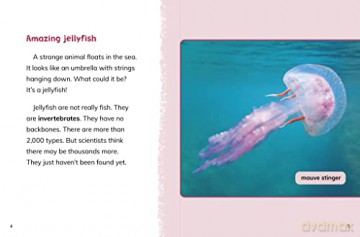 Jellyfish - Jaclyn Jaycox [KSIĄŻKA]