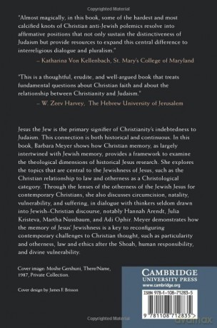 Jesus The Jew In Christian Memory - Meyer Barbara U. [KSIĄŻKA]