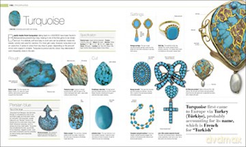 Jewel [KSIĄŻKA]