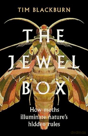 Jewel Box - Tim Blackburn [KSIĄŻKA]