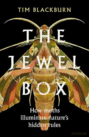 Jewel Box Moths Illuminate Hidden Rules - Tim Blackburn [KSIĄŻKA]