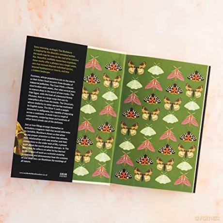 Jewel Box Moths Illuminate Hidden Rules - Tim Blackburn [KSIĄŻKA]
